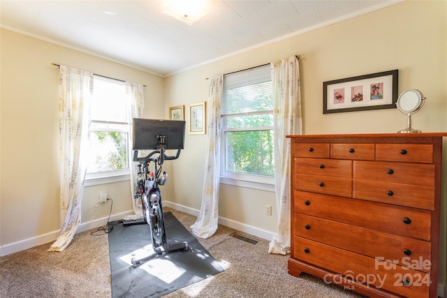 workout room with ornamental molding and light carpet