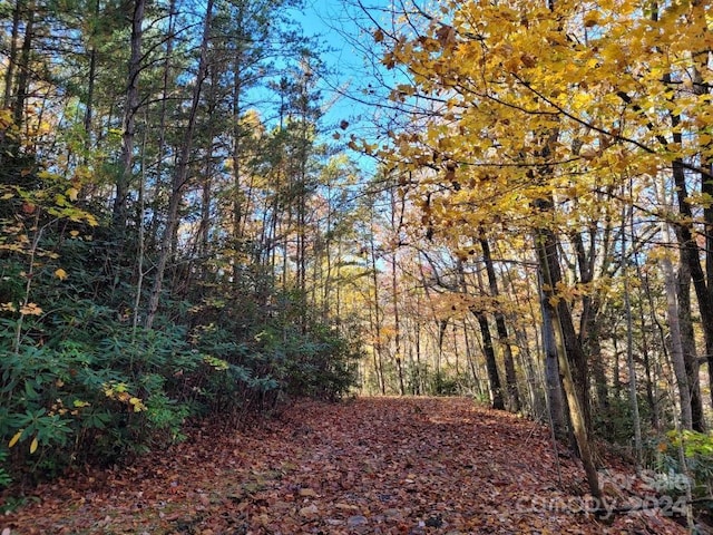 LOT80 Parkway Dr, Marion NC, 28752 land for sale