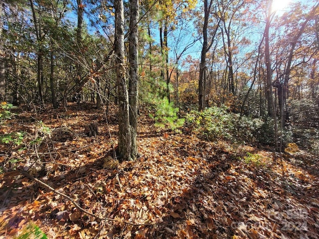 Listing photo 3 for LOT80 Parkway Dr, Marion NC 28752