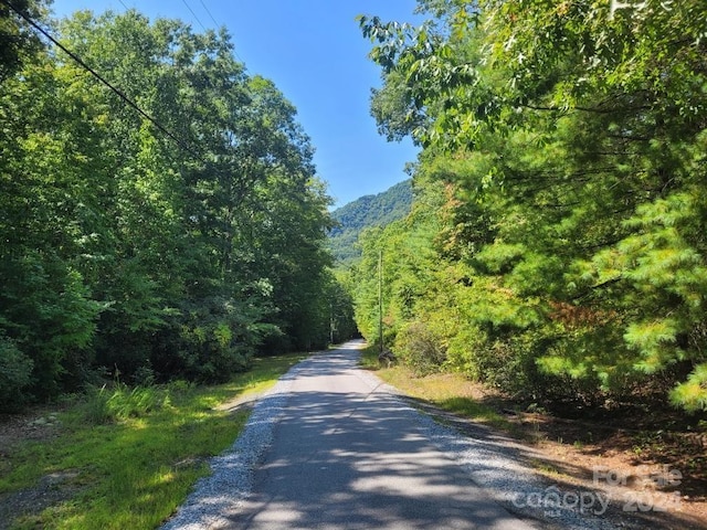 LOT80 Parkway Dr, Marion, NC 28752 - photo 5