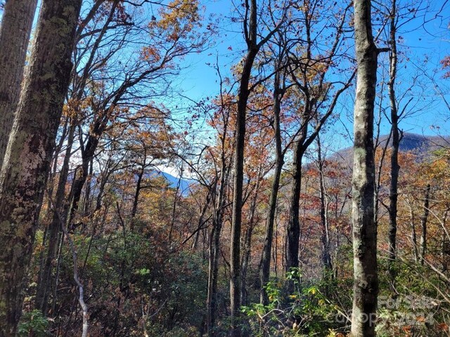 LOT80 Parkway Dr, Marion, NC 28752 - photo 8
