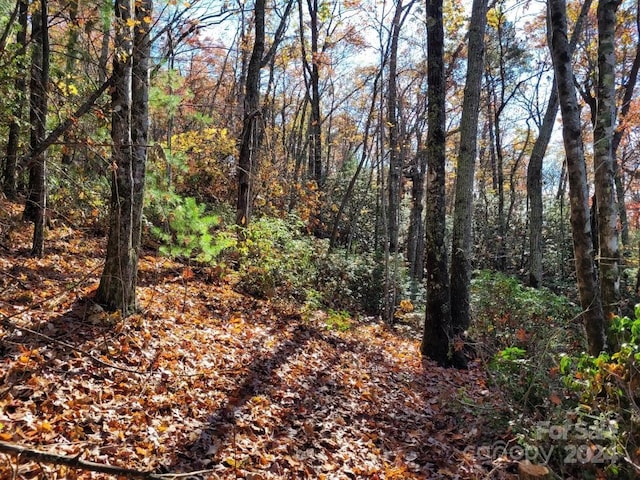 LOT80 Parkway Dr, Marion, NC 28752 - photo 10