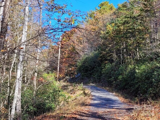 LOT80 Parkway Dr, Marion, NC 28752 - photo 14