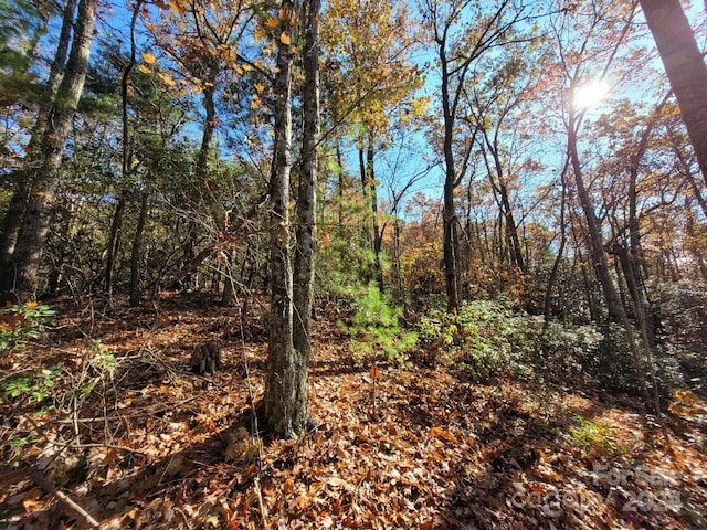 LOT80 Parkway Dr, Marion, NC 28752 - photo 15