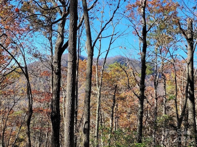 LOT80 Parkway Dr, Marion, NC 28752 - photo 16