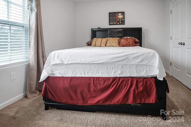 carpeted bedroom featuring multiple windows