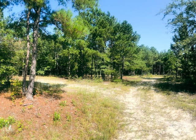 Listing photo 3 for TBD Taxahaw Rd Unit 1, Kershaw SC 29067