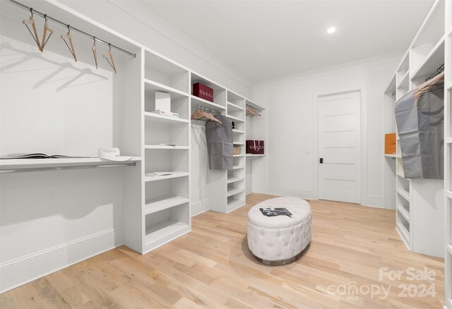 walk in closet with hardwood / wood-style flooring