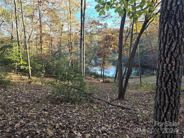 LOT88 Woodland Cir, Lake Lure NC, 28746 land for sale