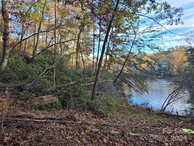 Listing photo 3 for LOT88 Woodland Cir, Lake Lure NC 28746