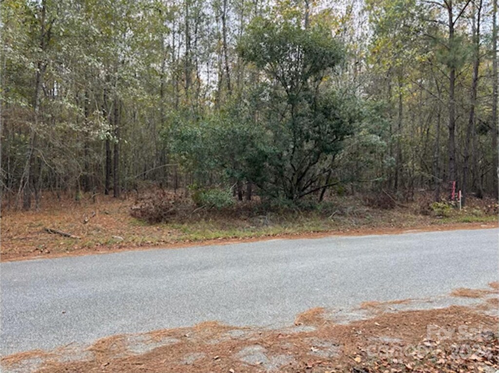 LOT4 Hudson Rd, Summerton, SC 29148