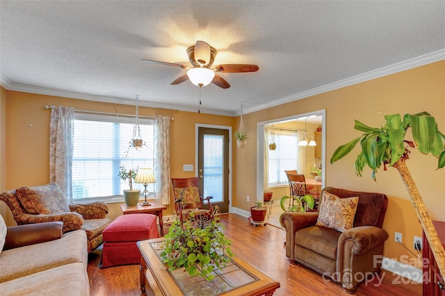 living room featuring ceiling fan with notable chandelier, a textured ceiling, light hardwood / wood-style flooring, and crown molding