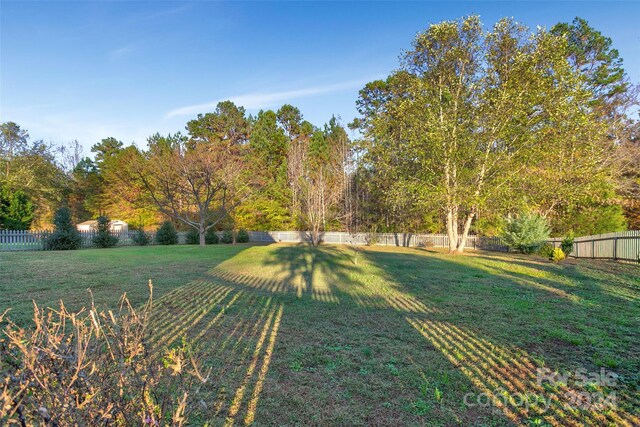 view of yard