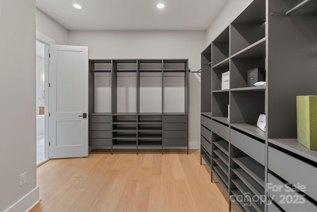 407 Crepe Myrtle Ln, Weddington, NC 28104 - walk in closet with light wood-style floors