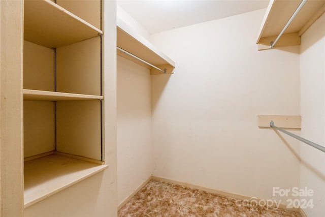 spacious closet featuring light colored carpet