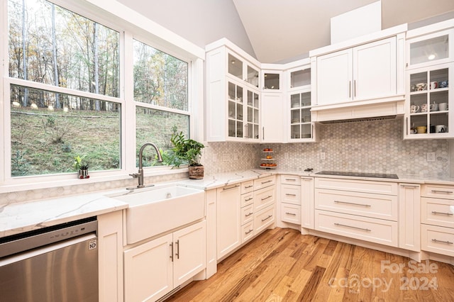 kitchen with light stone countertops, dishwasher, lofted ceiling, and sink