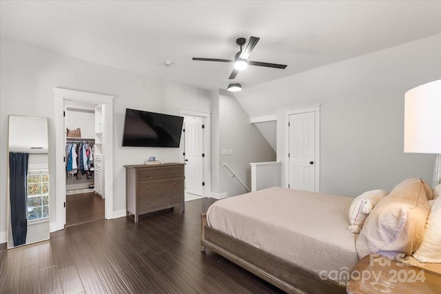 bedroom featuring a walk in closet, vaulted ceiling, ceiling fan, dark hardwood / wood-style floors, and a closet