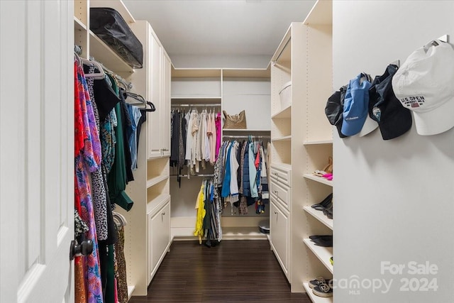 spacious closet with dark hardwood / wood-style floors