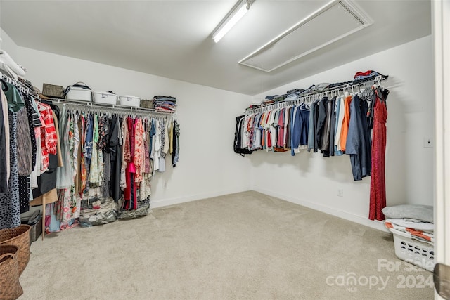 walk in closet with carpet