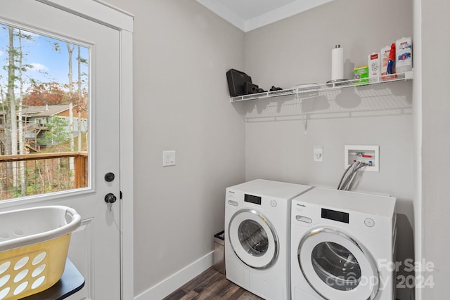 laundry room featuring washer and dryer, dark hardwood / wood-style floors, plenty of natural light, and crown molding