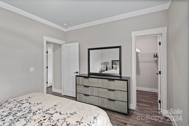 bedroom featuring ornamental molding, a walk in closet, a closet, and dark wood-type flooring