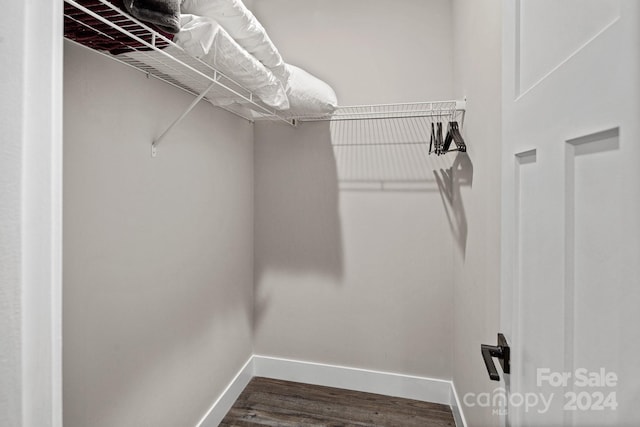 walk in closet with hardwood / wood-style floors