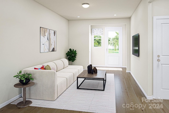 living room with hardwood / wood-style flooring