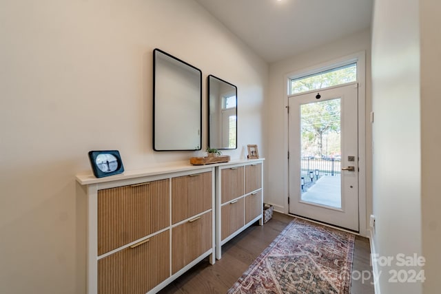 doorway to outside featuring dark hardwood / wood-style floors