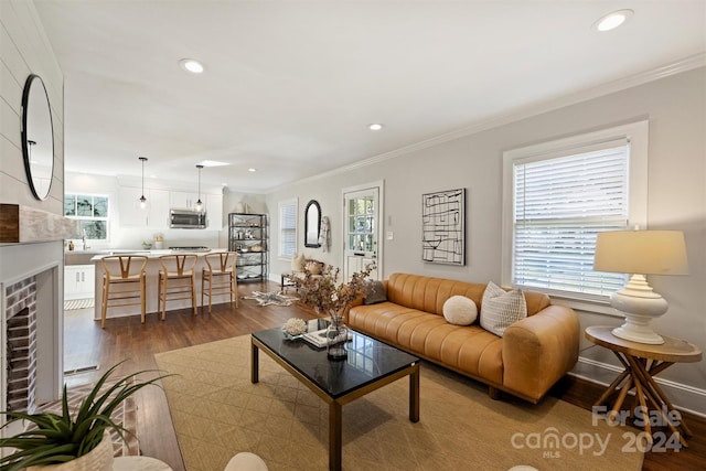 living room with crown molding, a fireplace, and dark wood-type flooring