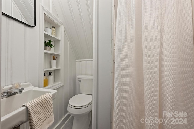 bathroom with wood walls, toilet, built in features, and sink