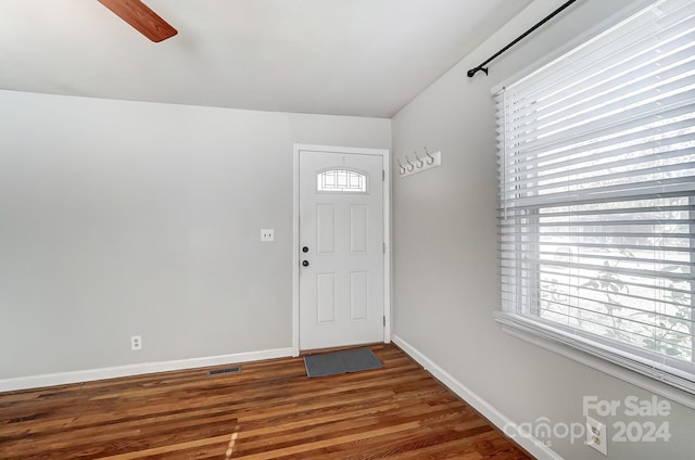 foyer entrance with dark wood-type flooring and plenty of natural light