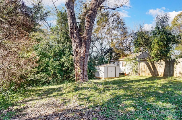 view of yard featuring a shed