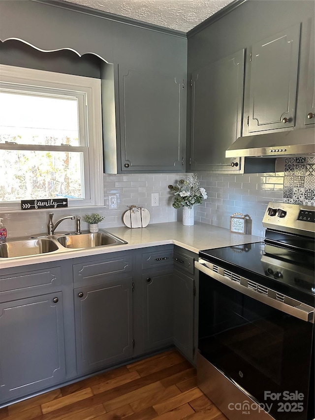 kitchen featuring sink, stainless steel electric range, and gray cabinets