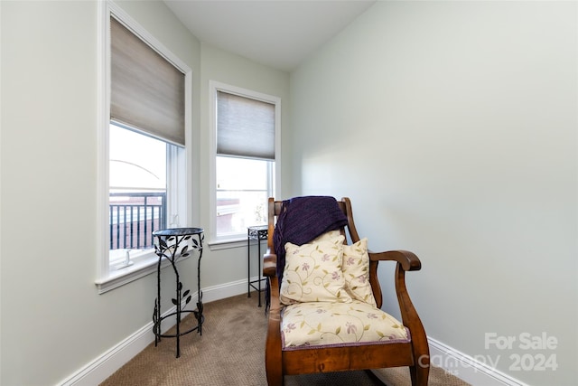 living area with carpet