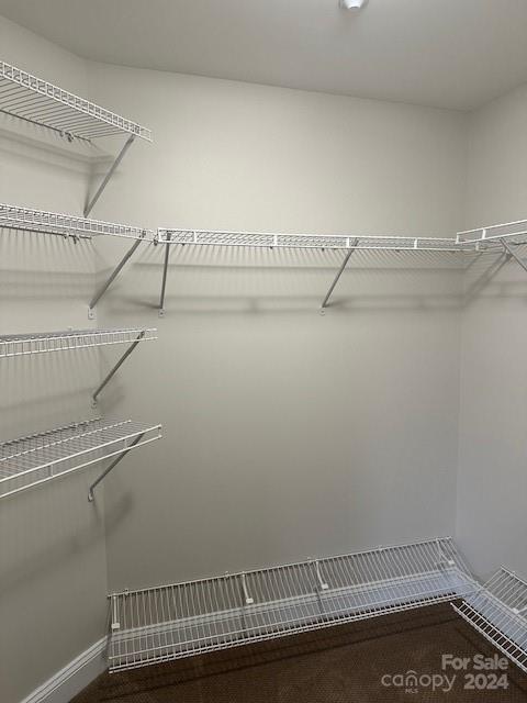 401 N Church St Unit 406, Charlotte, NC 28202 - view of walk in closet
