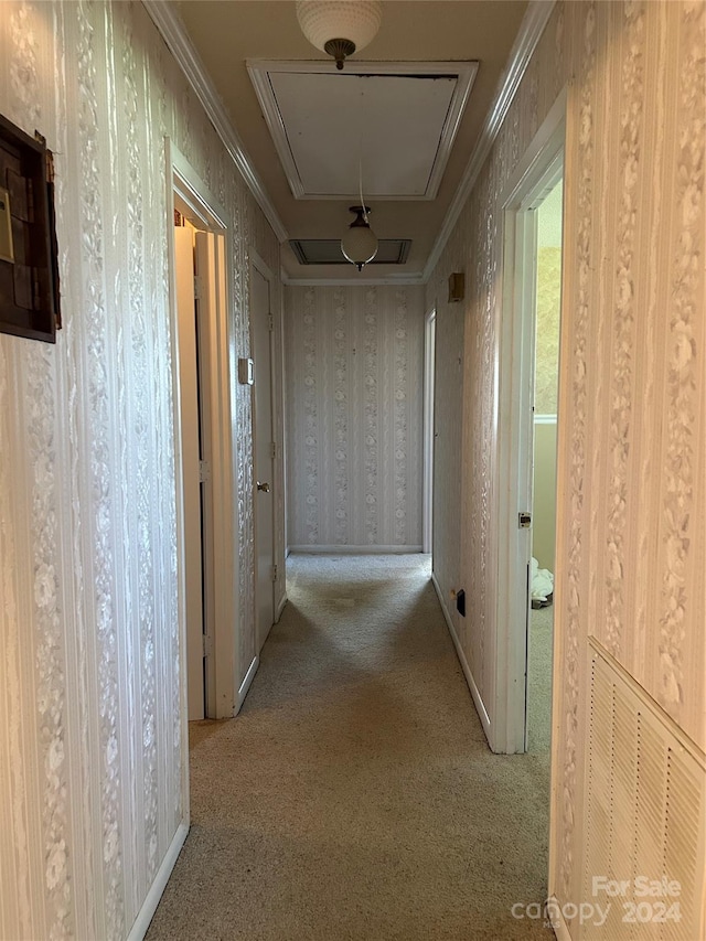 hallway featuring light carpet and crown molding