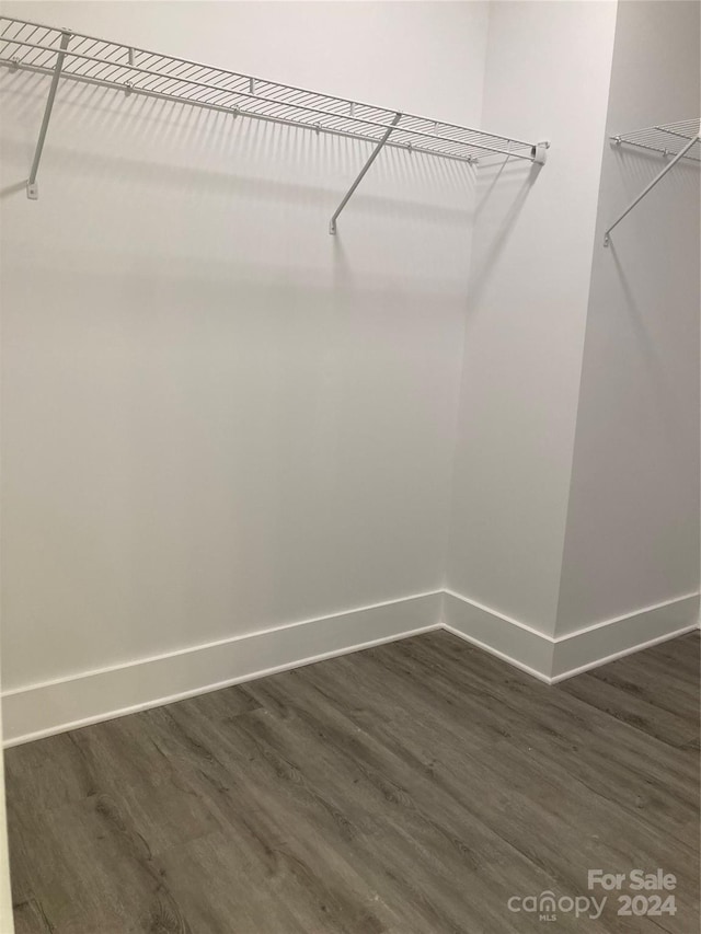 spacious closet featuring dark hardwood / wood-style floors