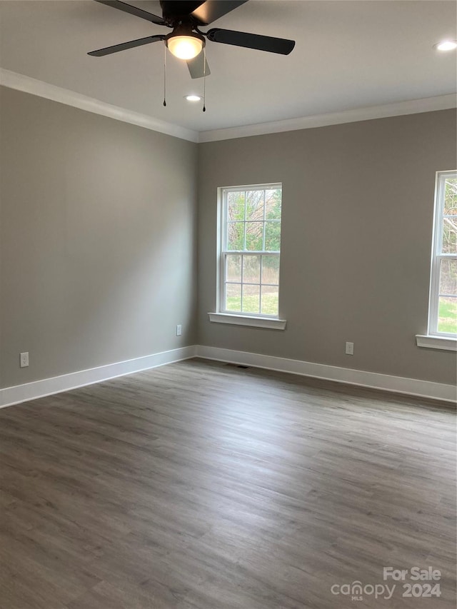 spare room with a wealth of natural light, crown molding, and dark hardwood / wood-style floors