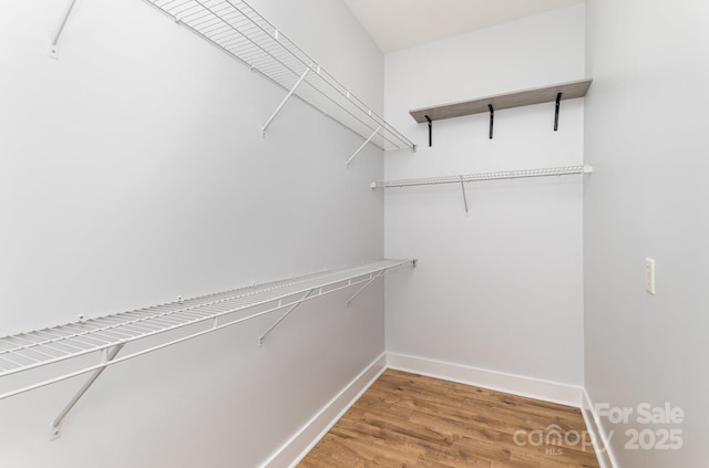 spacious closet with hardwood / wood-style flooring