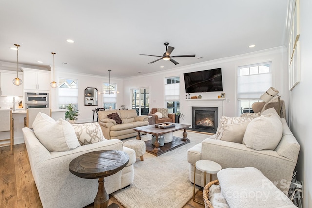 living room featuring ceiling fan with notable chandelier, light wood-type flooring, and crown molding