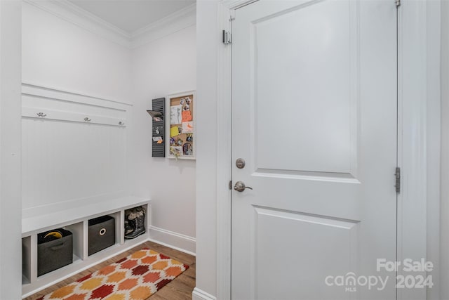 mudroom featuring crown molding and wood-type flooring