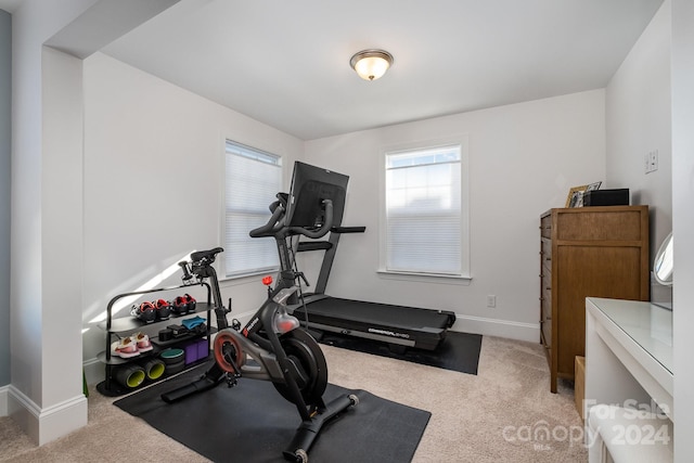 workout room with carpet