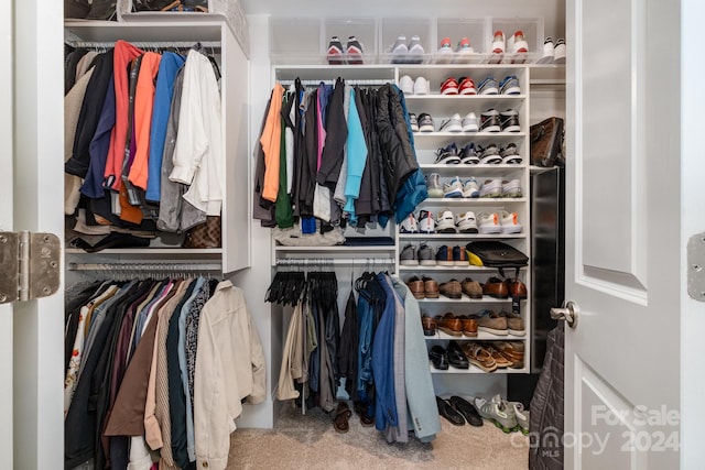 walk in closet with carpet flooring