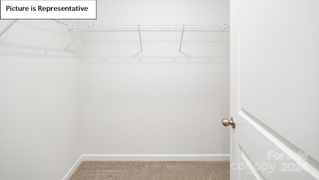 spacious closet featuring carpet floors