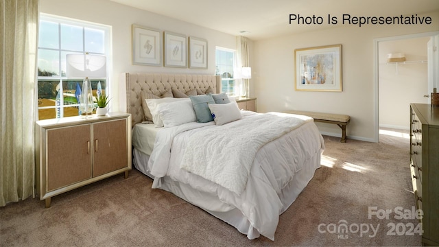 bedroom with multiple windows, light carpet, a closet, and a walk in closet