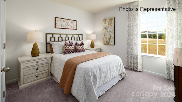 bedroom with carpet flooring