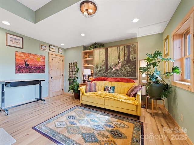 living room featuring light hardwood / wood-style floors