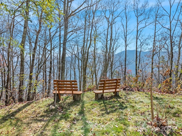 view of yard featuring a mountain view