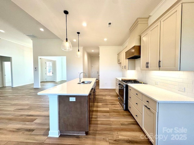 kitchen with light hardwood / wood-style floors, an island with sink, stainless steel gas range oven, pendant lighting, and sink