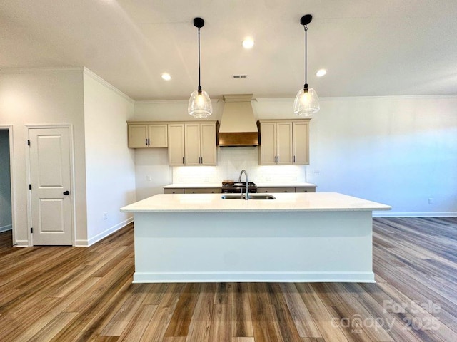 kitchen featuring a center island with sink, dark hardwood / wood-style floors, custom range hood, and sink